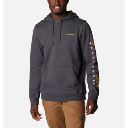 Columbia CSC Basic Logo II Hoodie 1681664008