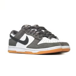 Nike Dunk Low FV0389-100