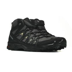 Salomon X BRAZE MID GTX L47430500