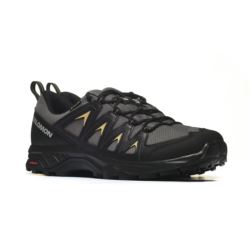 Salomon X BRAZE GTX L47180500