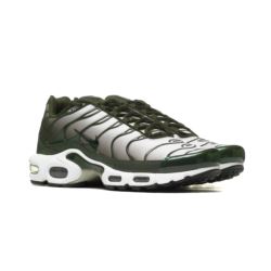 Nike AIR MAX PLUS DM0032-300