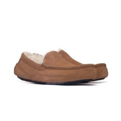 UGG ASCOT CHESTNUT M 1101110-CHE