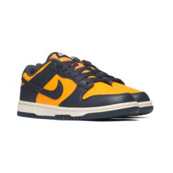 Nike Dunk Low Retro HF5441-700